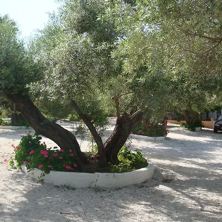 Calamon * Episkopi (Rethymno)