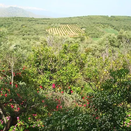 Calamon Aparthotel Episkopi (Rethymno)